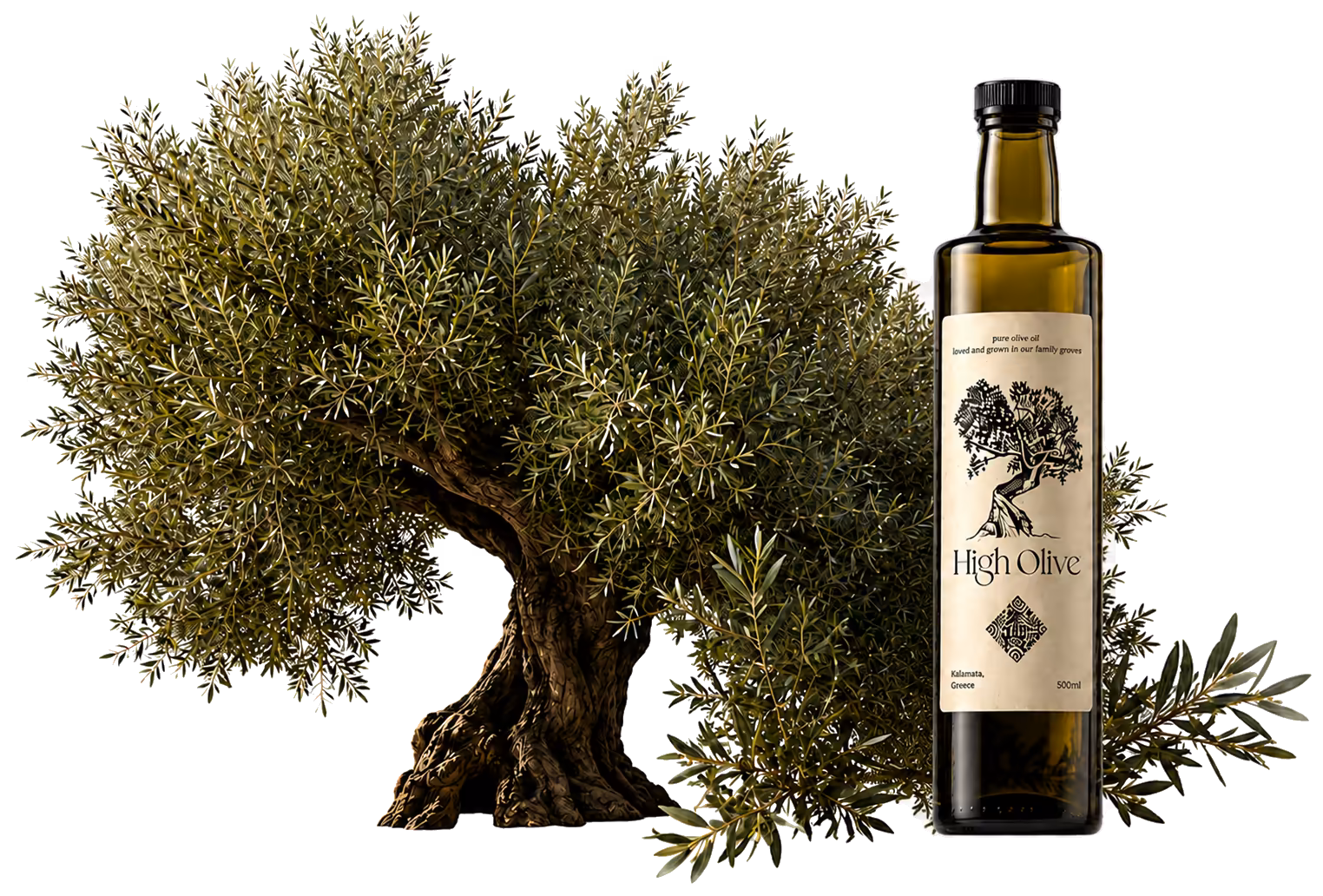 High Olive bottle beside an olive tree